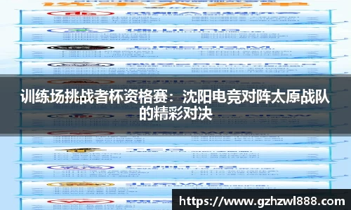 智博19
